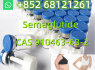Semaglutide CAS 910463 - 68 - 2