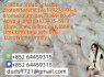 American mastiff for sale in the city of Nu uuli American Samoa Price - 5