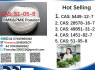 51 - 05 - 8 BMK PMK Procaine HCl raw materials (3)