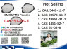 51 - 05 - 8 BMK PMK Procaine HCl raw materials (4)