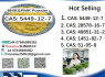 5449 - 12 - 7 BMK PMK Chemical raw materials (3)