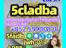 5cladbb 6cladbb 2cladbb ProfessionaladbbWhatsApp Signal Telegram Skype LINE 852 59900830 (3)