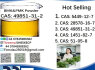 49851 - 31 - 2 BMK PMK Chemical raw materials (6)