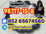 98717 - 15 - 8 Ropivacaine