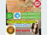 99 Pure 5cl Adbb 5cladba 5cladbb Precusor Raw Powder With B - Used LED TV For Sale In Pondicherry