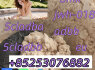 4CL - adba 5fadba 5cladb 6cladba 2cladbb 5cl 5cladba 5cladb 5cladbb 5cl - mdma (2)