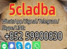 Good price 5cladbb adba CAS137350 - 66 - 4