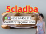Akita for sale in the city of Tadjoura Djibouti Price - 5 Announcement 143550