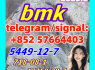BMK Yellow Powder CAS 5449 - 12 - 7 by Wuhan First New Material