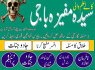 MS2 Kala Jadu In Karachi Online Amil Baba IN Uk 03253151744