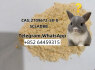 Stream 5cladba powder 5cl adbb precursor 5cladba