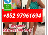 semaglutide910463 - 68 - 2 tirzepatide2023788 - 19 - 2 retatrutide2381089 - 83 - 2