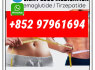semaglutide910463 - 68 - 2 retatrutide2381089 - 83 - 2