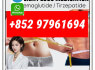 retatrutide2381089 - 83 - 2 tirz2023788 - 19 - 2 99 purity