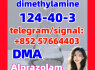 124 - 40 - 3 DMA dimethylamine