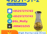 PMK Powder 28578 - 16 - 7 High - Quality Chemical Bulk Supply (5)