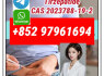 semaglutide910463 - 68 - 2 tirzepatide