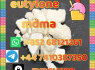 852 68121261 eutylone mdma factory direct sales (2)