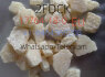 2FDCK (7)