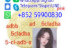 China supplier 5cl 5cladbb 5cl by 5cladbb (2)