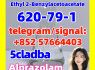 620 - 79 - 1 Ethyl 2 - Benzylacetoacetate