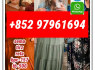 retatrutide2381089 - 83 - 2 tirzepatide