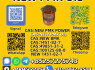 Trusted P. M. K Oil Supplier 28578 - 16 - 7 Fast Shipping