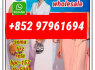 retatrtuide2381089 - 83 - 2