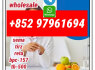 semaglutide910463 - 68 - 2 tirzepatide2023788 - 19 - 2