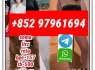 semaglutide910463 - 68 - 2 tirzepatide (1)