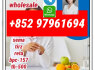 sermaglutide910463 - 68 - 2 tirzeopatide2023788 - 19 - 2