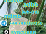 852 47091737 Yellow powder 5cladba mamb jwh - 018 5fadb 4fadb Adbb