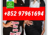 tirzepatide2023788 - 19 - 2 retatrutide2381089 - 83 - 2