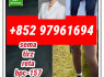 tirzepatide2023788 - 19 - 2 retatrutide2381089 - 83 - 2