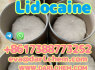 Procaine crystals Powder 59 - 46 - 1 Factory Supply Bulk 99 Purity Injection