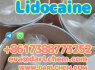 Procaine crystals Powder 59 - 46 - 1 Factory Supply Bulk 99 Purity Injection (2)