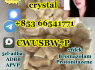 eutylone, mdma, 2fdck, cas 802855 - 66 - 9, High concentrations 853 66541771
