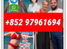 semaglutide910463 - 68 - 2 retatrutide2381089 - 83 - 2