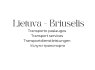 Lietuva Briuselis Brussels (2)