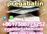 Europe Supplier of pregabalin crystals powder 148553 - 50 - 8