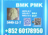 New BMK CAS 5449 - 12 - 7 industrial grade chemical
