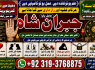 Amil Baba In Faislabad Kala ilam Specialist In Faislabad Black Magic Expert In Faislabad E4