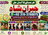 Kala Ilam Expert Specialist In Italy Kala Ilam Expert Specialist In Kuwait Kala Ilam In Malaysia E4