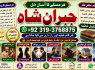 Kala Jadu Expert Specialist In Germany Kala Jadu Expert Specialist In Saudia Arab E4