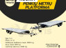 PLATFORMŲ MIKROAUTOBUSŲ NUOMA DIRBAME IR SAVAITGALIAIS (4)