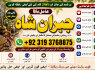 Amil Baba in Malaysia Amil Baba In Pakistan Black magic specialist, Expert in Pakistan Amil Baba F3