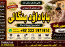 Black Magic Expert Specialist In UAE Black Magic Expert Specialist In Canada F3