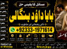 love problem solution specialist online love problem solution love marriage specialist F3