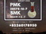 New PM. K 28578 - 16 - 7, 5449 - 12 - 7 New Production Batch (5)