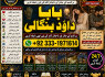 love problem solution specialist online love problem solution love marriage specialist F9